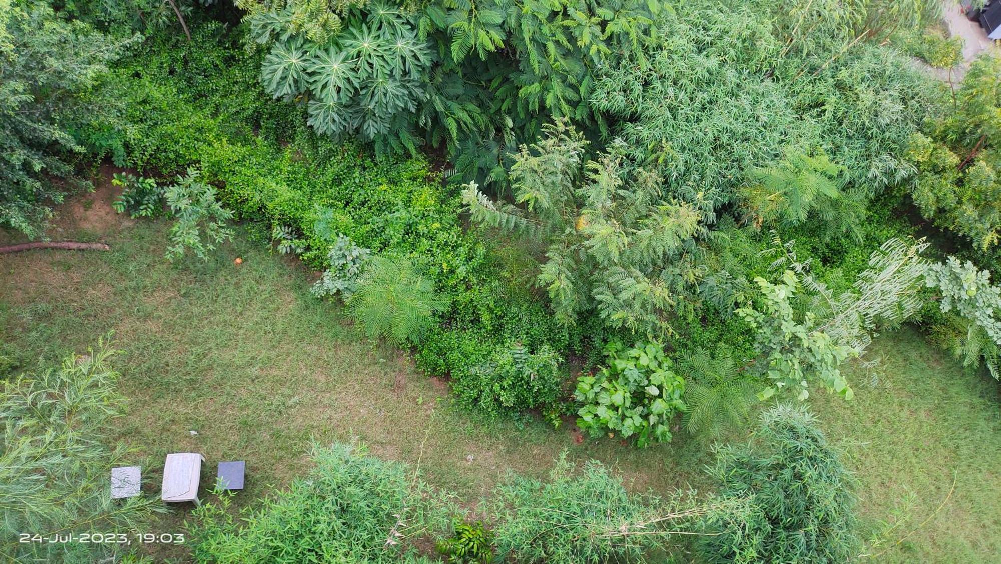 Osho Villa Guest House Jaipur Dış mekan fotoğraf